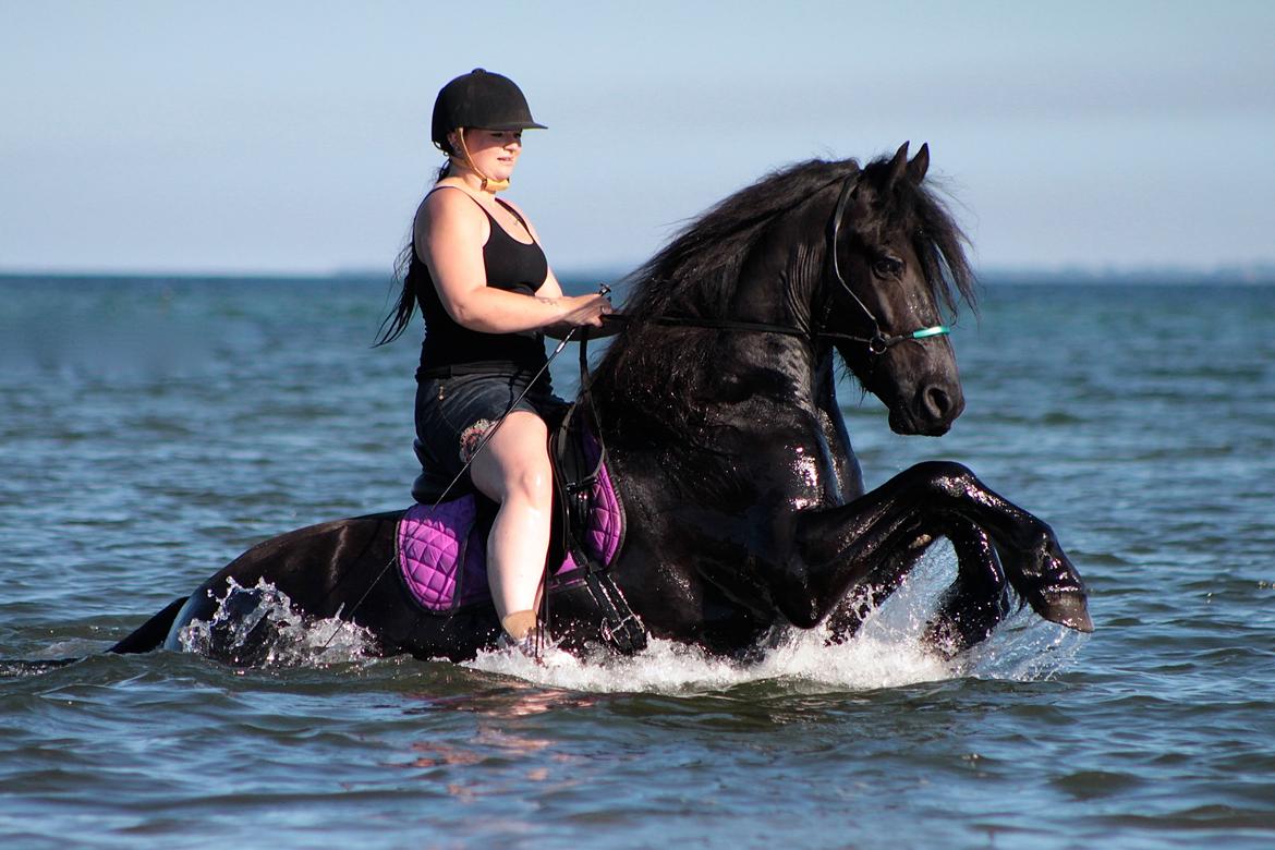 Frieser And They Named Him Lucky - Luckys første tur ud og bade :) D. 13 August 2015. 4 års. billede 24