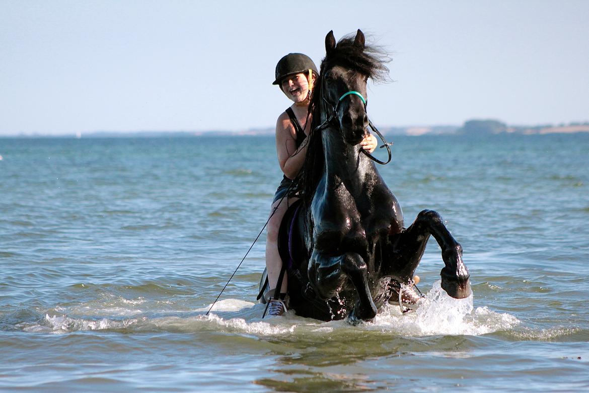 Frieser And They Named Him Lucky - Luckys første tur ud og bade :) D. 13 August 2015. 4 års. billede 9