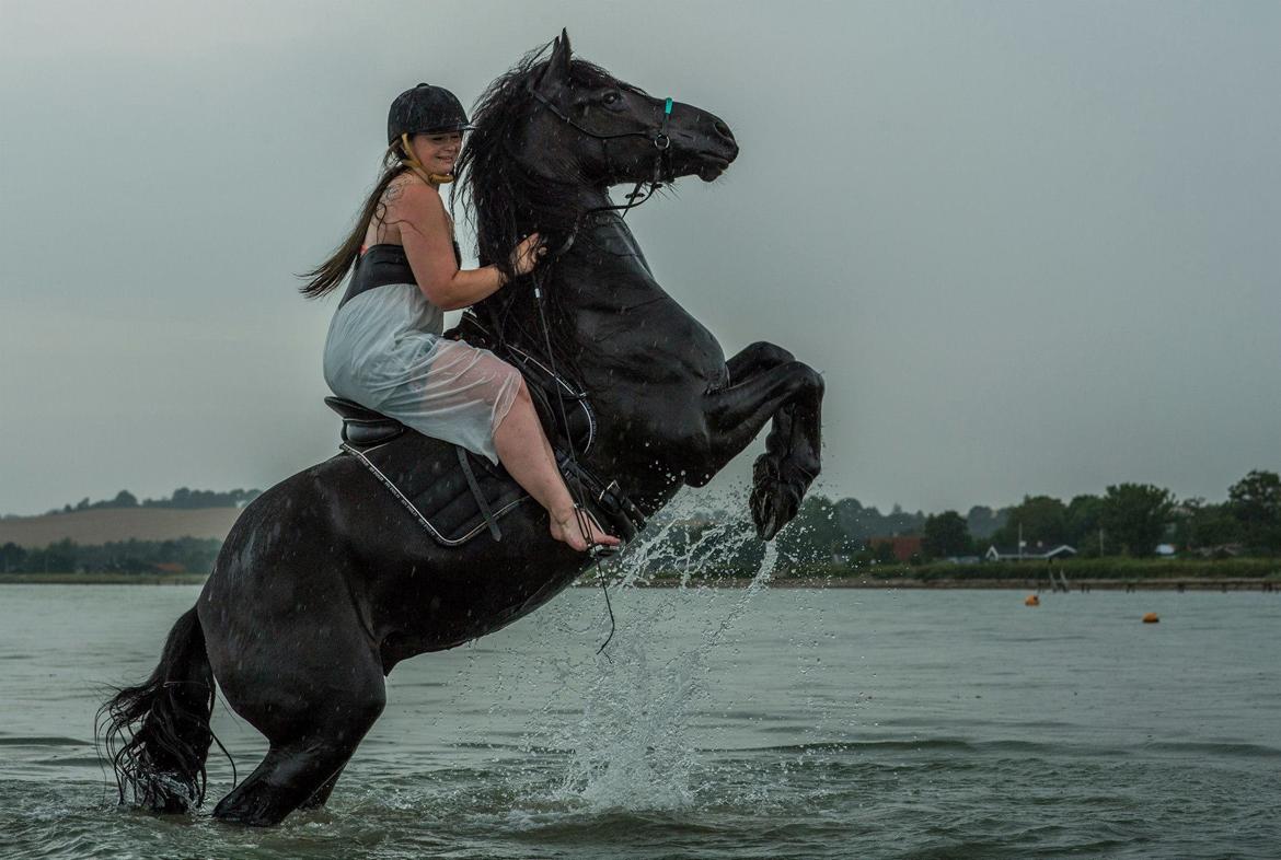 Frieser And They Named Him Lucky - Lucky er model for Jimmy Friis, fra 'heste foto'. Anden gang ude i vandet. 15 August 2015. 4 års. billede 13