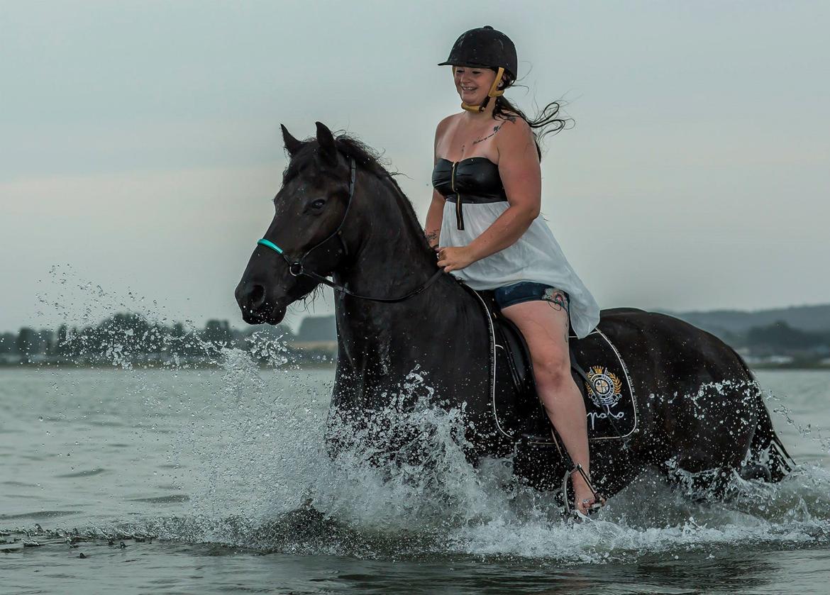 Frieser And They Named Him Lucky - Lucky er model for Jimmy Friis, fra 'heste foto'. Anden gang ude i vandet. 15 August 2015. 4 års. billede 44