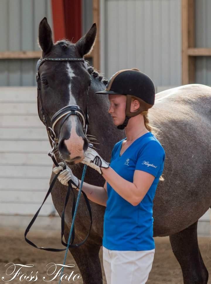 Sportsaraber (A) BS Laschano billede 15