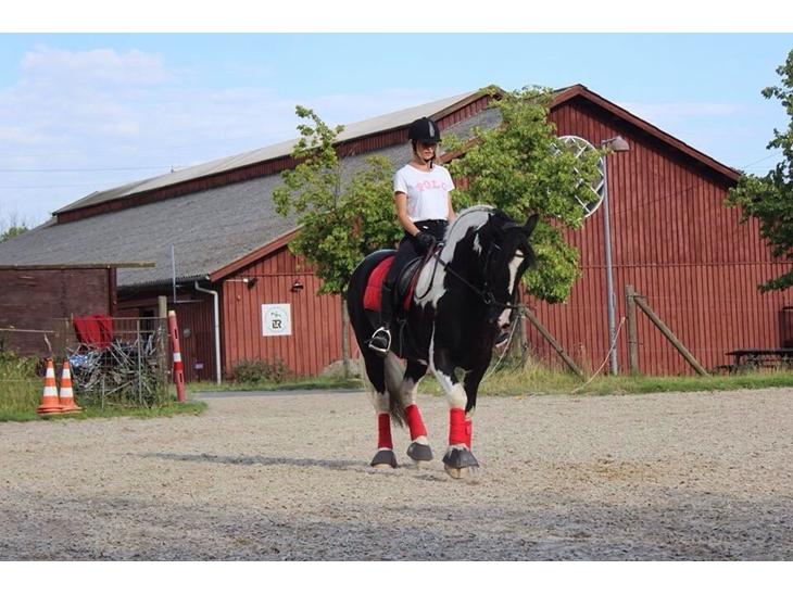 {{currentPhoto.altText}} billede {{currentPhoto.number}}