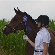 DSP Patrik af hvarre