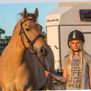 Anden særlig race Buller