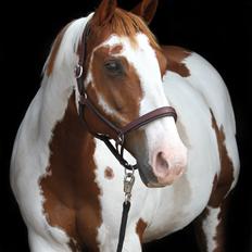 Paint SUPREME MEGA SNOW