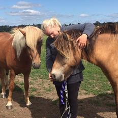 Anden særlig race Spirit 