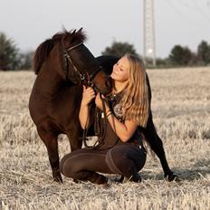 Shetlænder Sofus " My Soulmate:')"<3