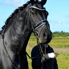 Frieser Antsje Van De Martini