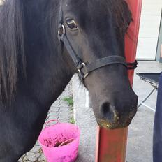 Miniature RS' Eclipse (solgt)