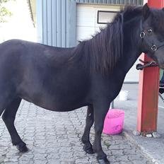 Miniature RS' Eclipse (solgt)