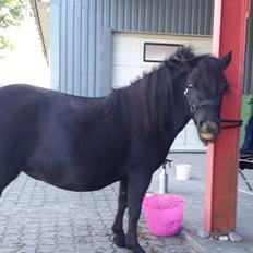 Miniature RS' Eclipse (solgt)