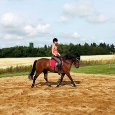 Anden særlig race MUFASJA *FASJA* søsters