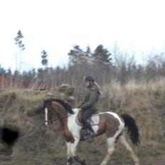 Pinto Santana (Indianer Hesten)