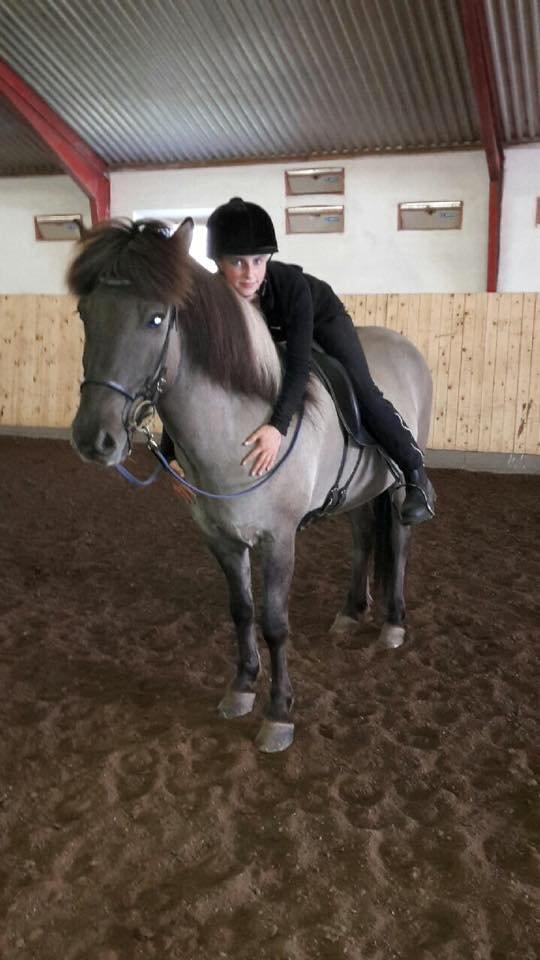 Islænder Móses Fra Sjónarhóli billede 2