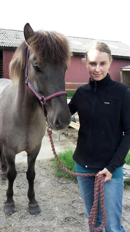 Islænder Móses Fra Sjónarhóli billede 3