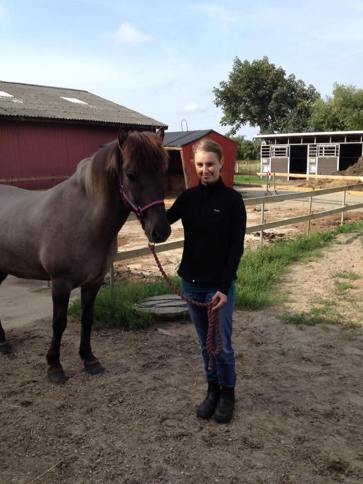 Islænder Móses Fra Sjónarhóli billede 5