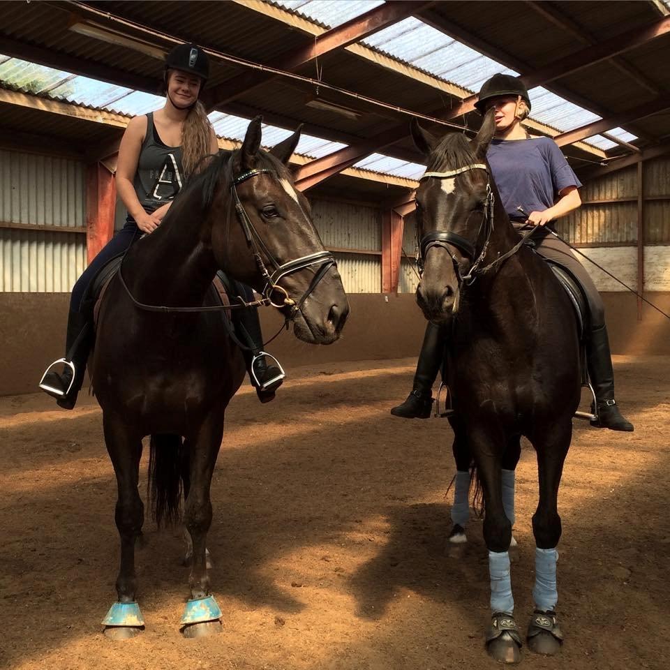 Dansk Varmblod SANDAGERGÅRD'S LIONELL - Super god ride tur med min søde veninde som igen er i sadlen efter 3 år. :) billede 15