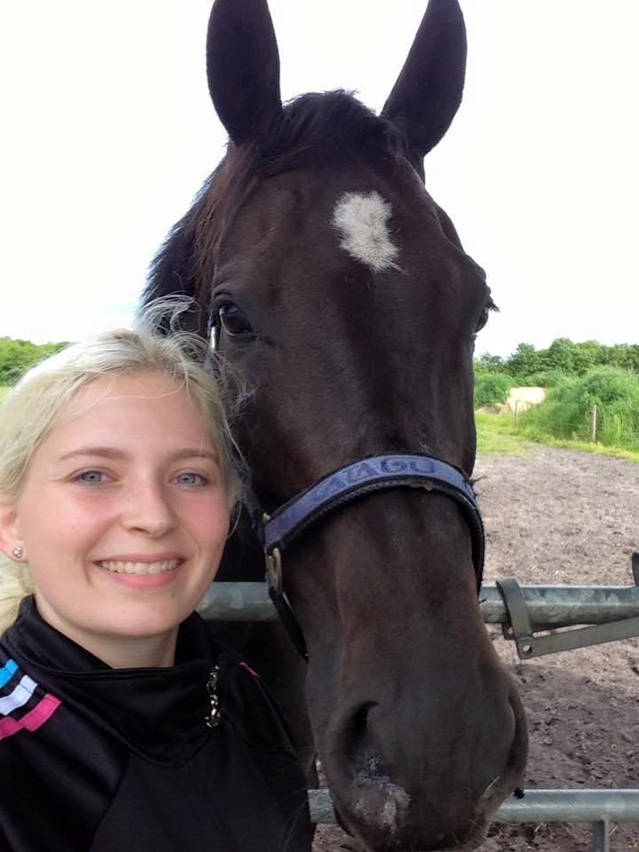 Dansk Varmblod SANDAGERGÅRD'S LIONELL - Hav en go ferie lionell - vi ses om 14 dage (afsted til tyrkiet med mig)   billede 12