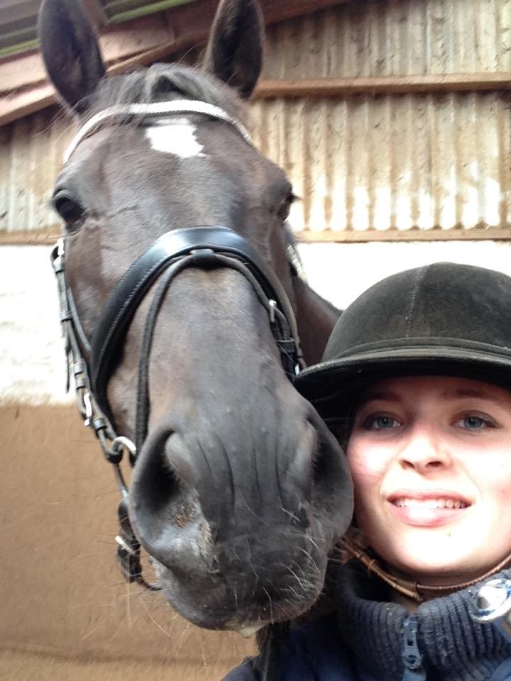 Dansk Varmblod SANDAGERGÅRD'S LIONELL - Bedste selfie med dig Lionell prinsen :) billede 18