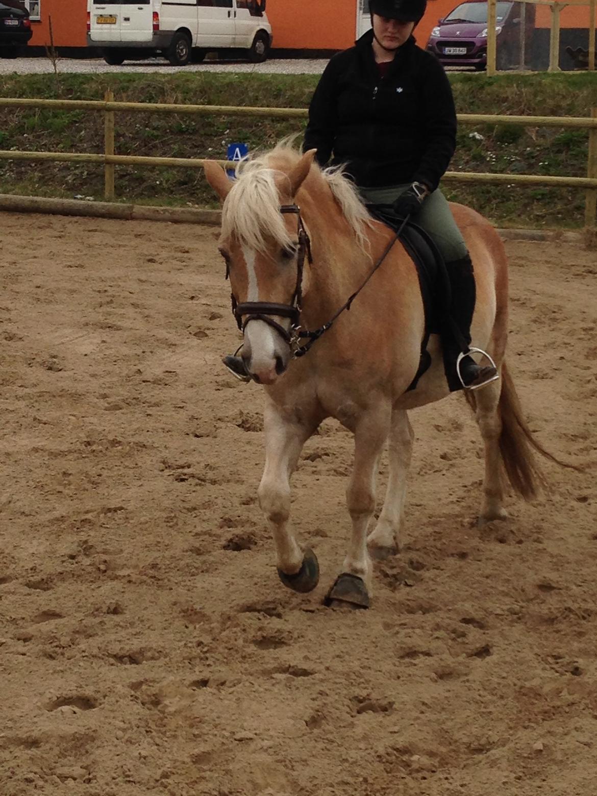 Haflinger Sandals Maximillian billede 1