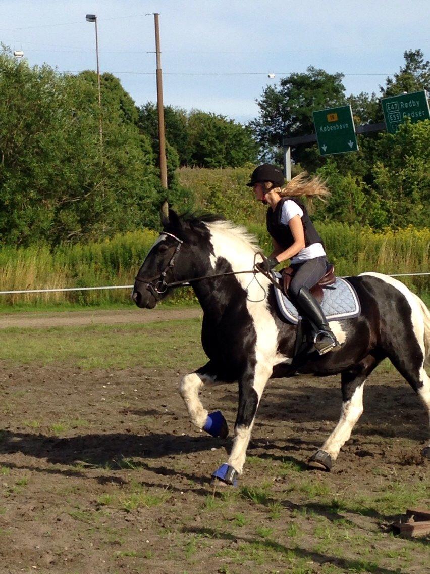 Tinker Charmer - Fra spring billede 13