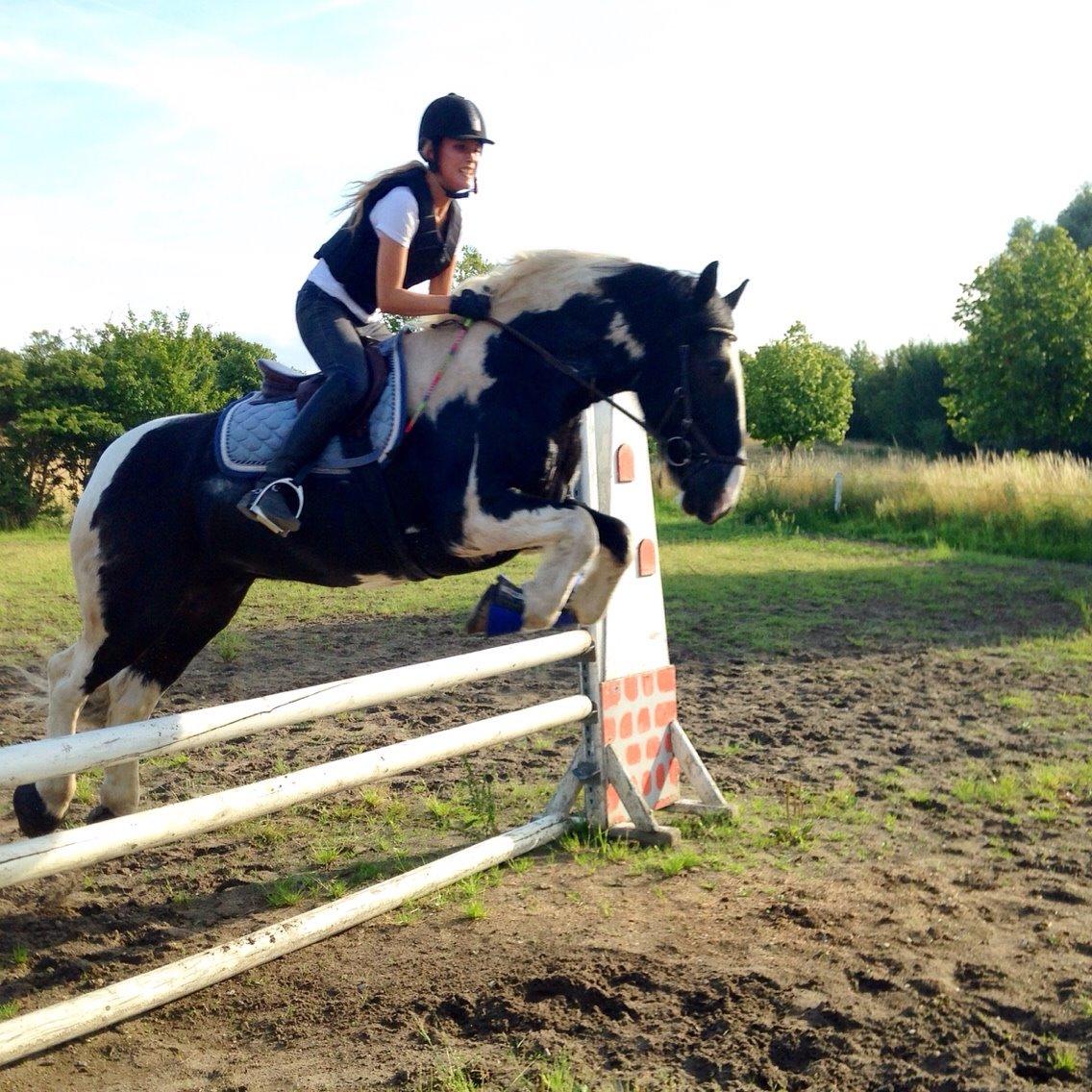 Tinker Charmer billede 14