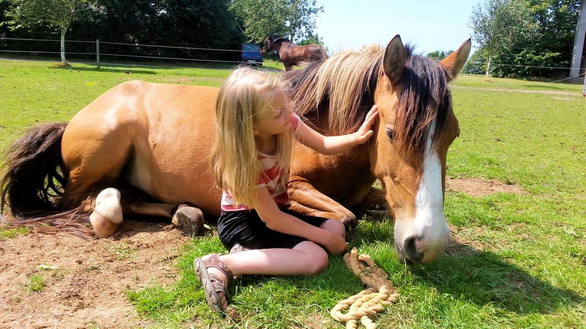 Anden særlig race *NALA* billede 4