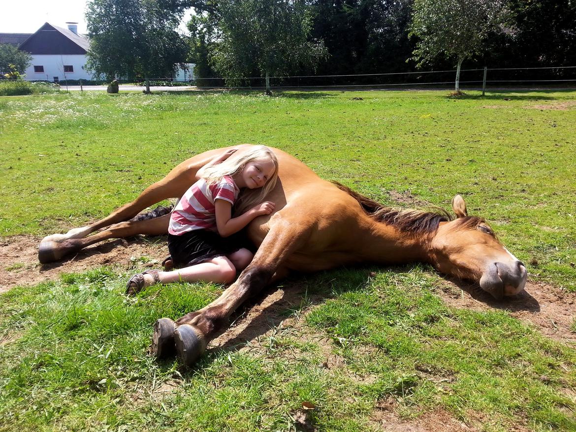 Anden særlig race *NALA* billede 1