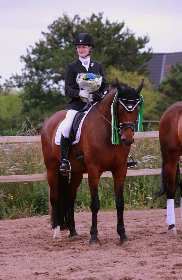 Oldenborg Java Rævdal - Samlet nr 3 i distriktsmesterskabet for U25 i D10  billede 2