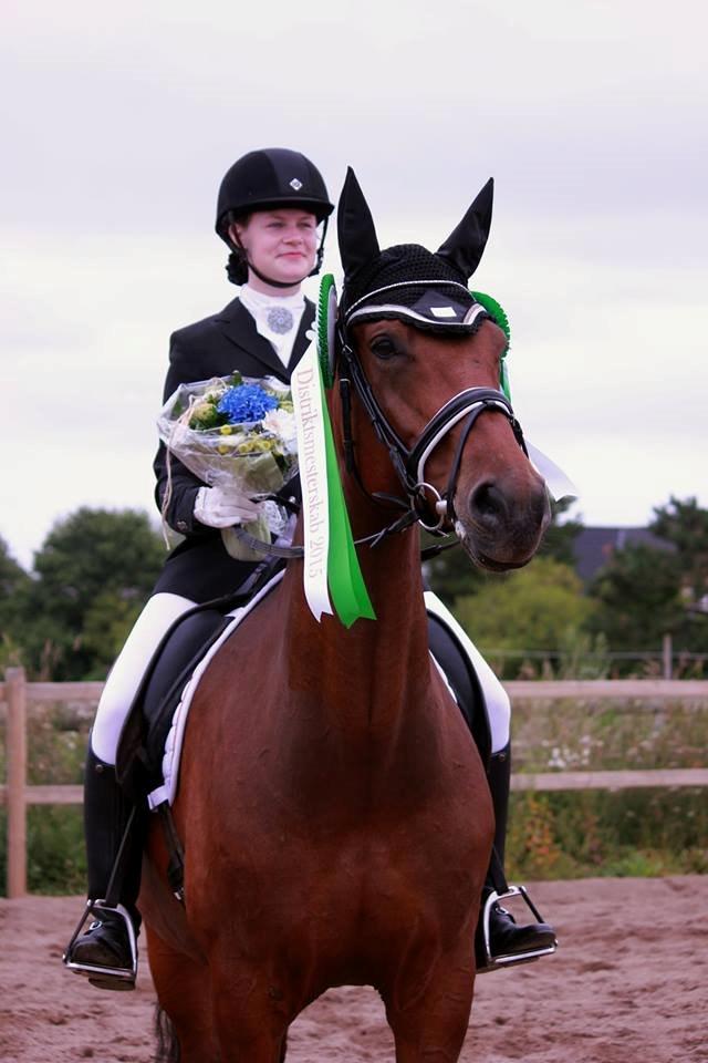 Oldenborg Java Rævdal billede 6