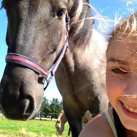 Islænder Móses Fra Sjónarhóli billede 7