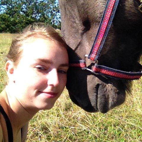 Islænder Móses Fra Sjónarhóli billede 8