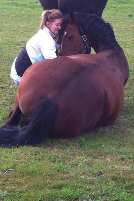 Dansk Varmblod Lillelunds Cheval (Heidi) billede 20