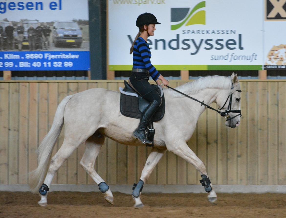 DSP Lykkebo Concordio billede 21