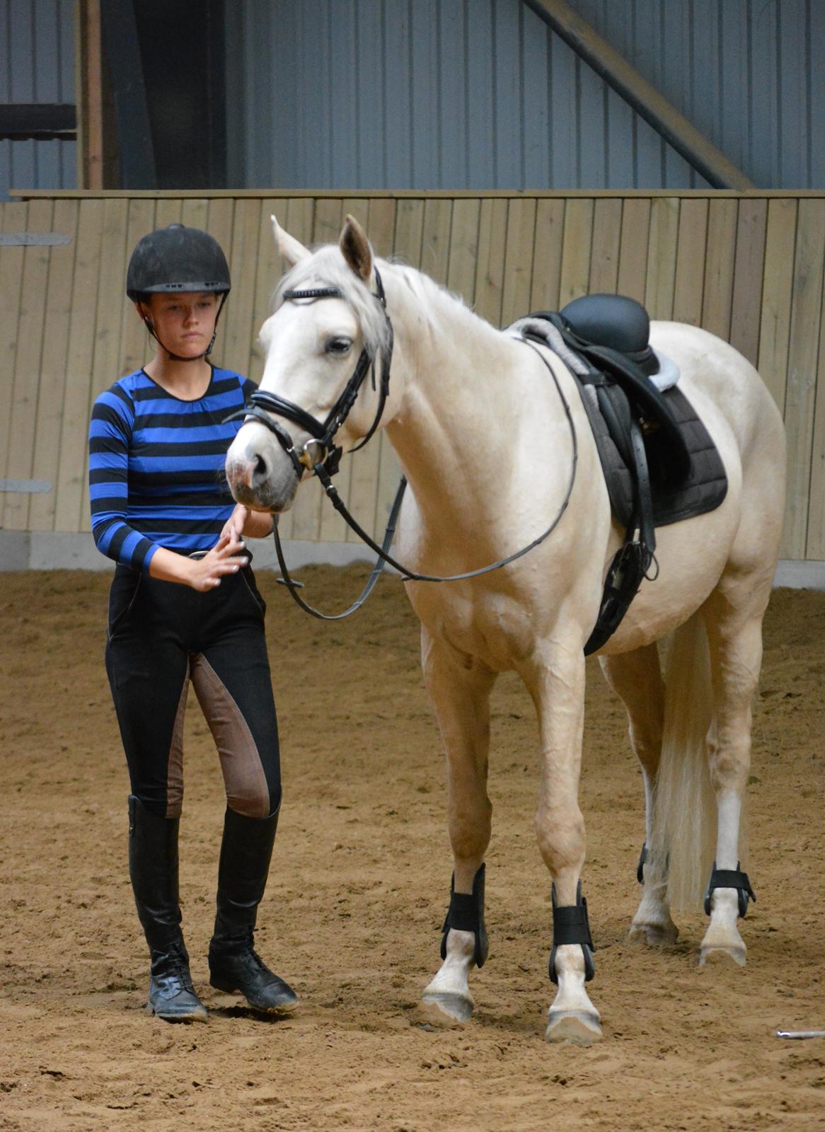 DSP Lykkebo Concordio billede 22