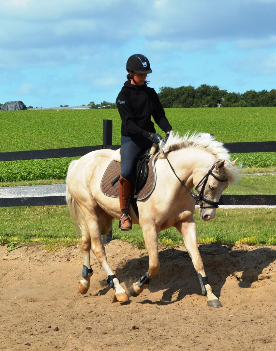 DSP Lykkebo Concordio billede 25