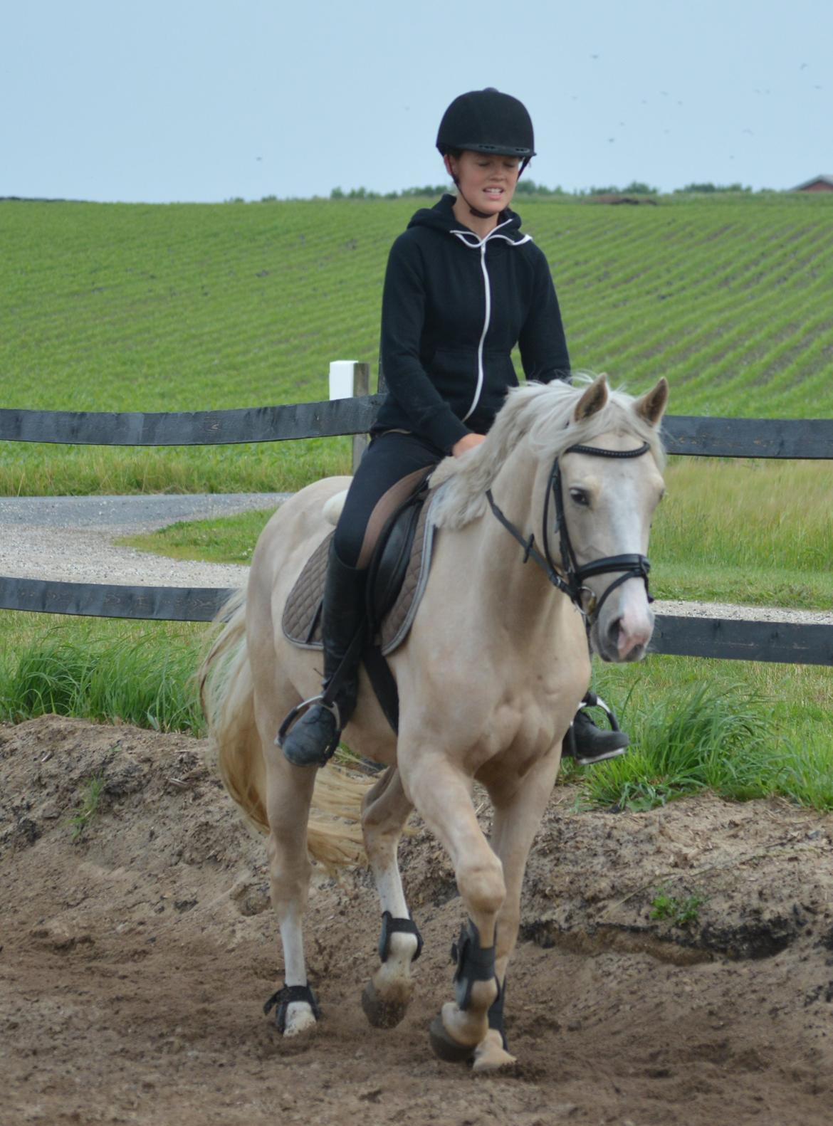 DSP Lykkebo Concordio billede 28