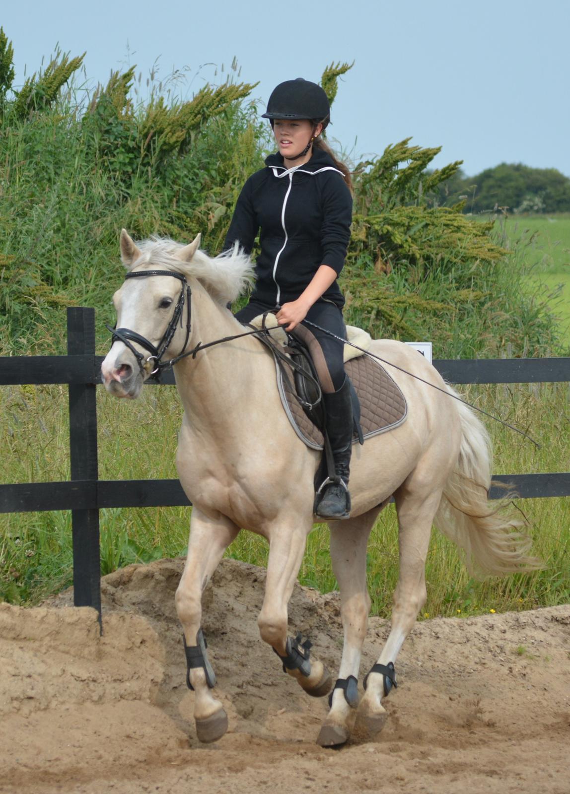 DSP Lykkebo Concordio billede 31