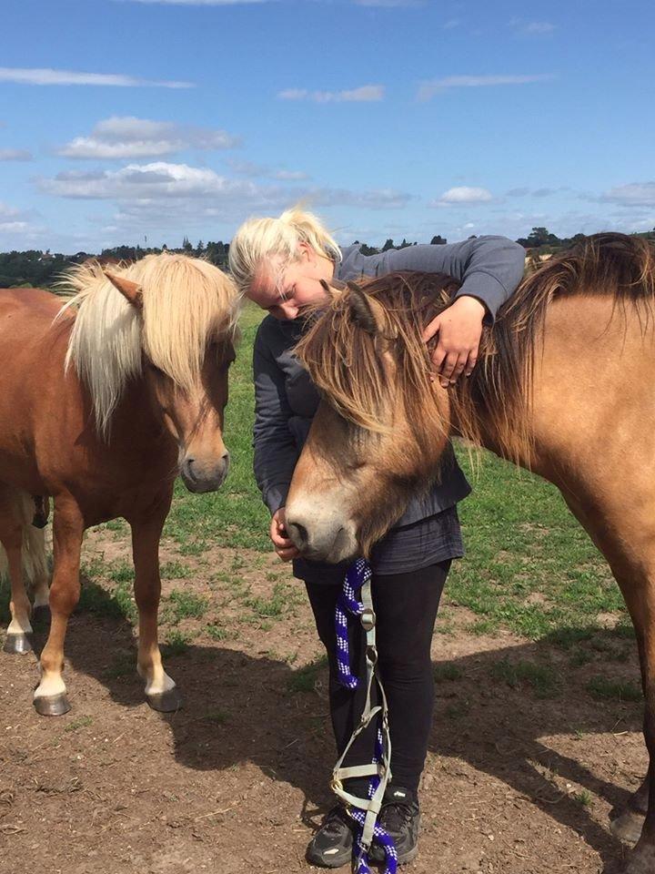 Anden særlig race Spirit  - Billede lånt af Anne mette ;)  billede 2