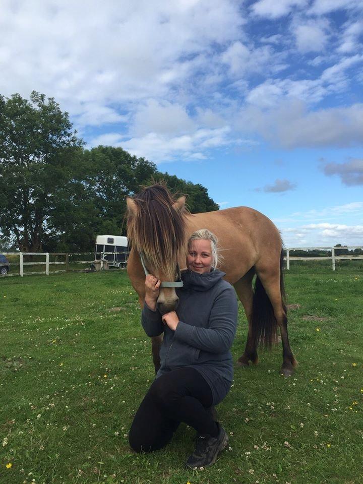 Anden særlig race Spirit  - Billede lånt af Anne mette ;)  billede 3
