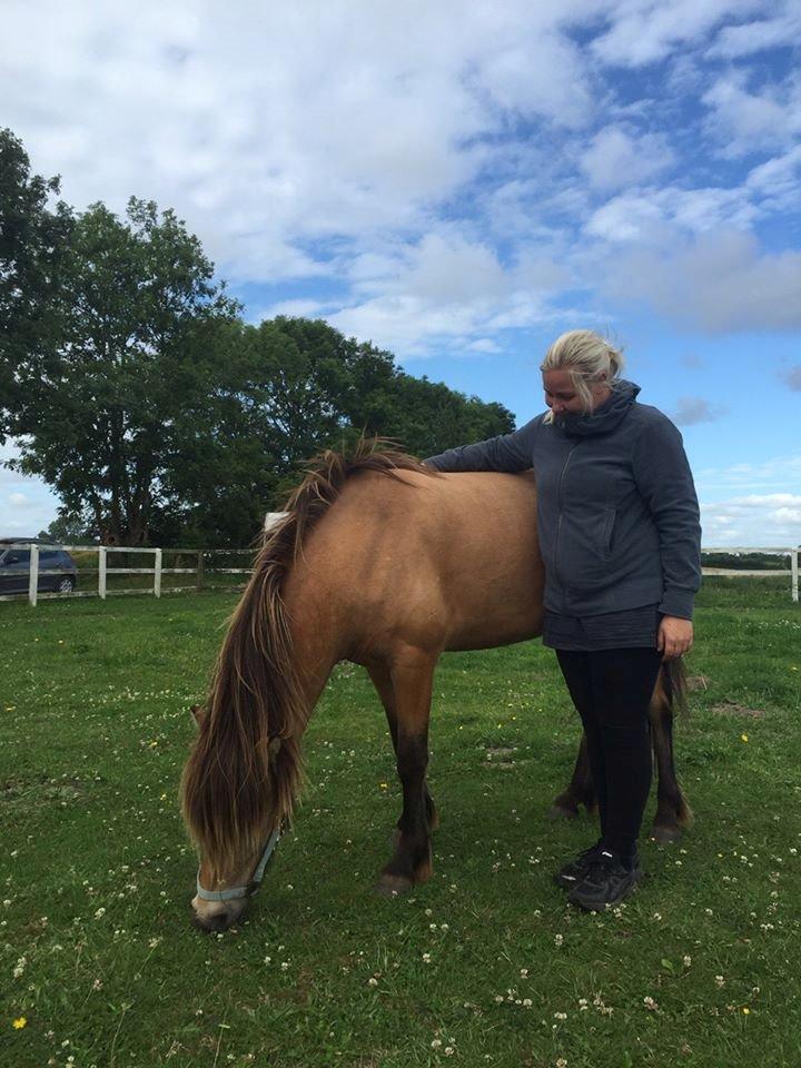 Anden særlig race Spirit  - Billede lånt af Anne mette ;)  billede 5