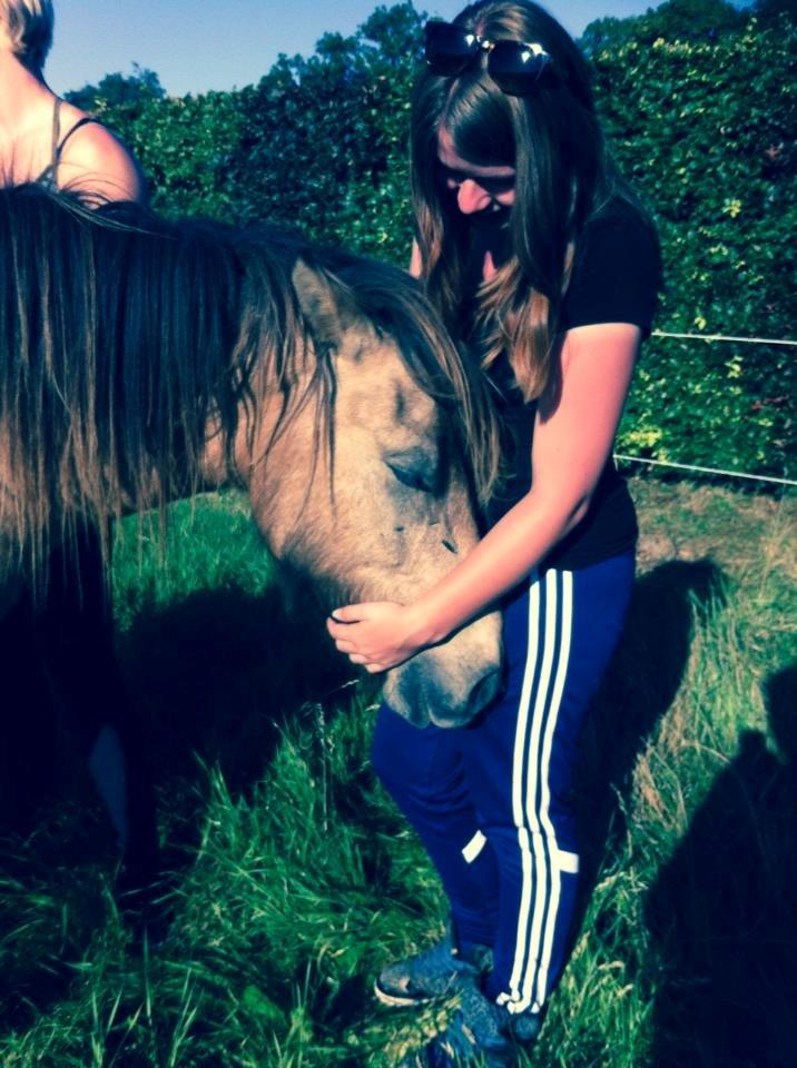 Anden særlig race Spirit  - Kælepotte <3 billede 12