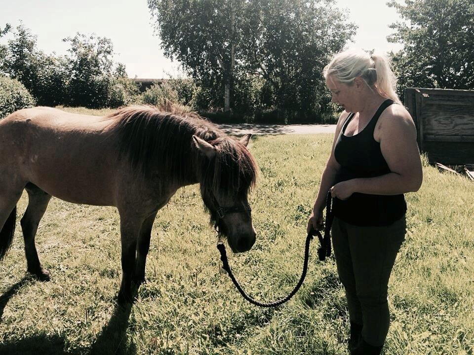 Anden særlig race Spirit  - Spirit er lige ankommet ;) Billede lånt af Anne mette ;)  billede 15