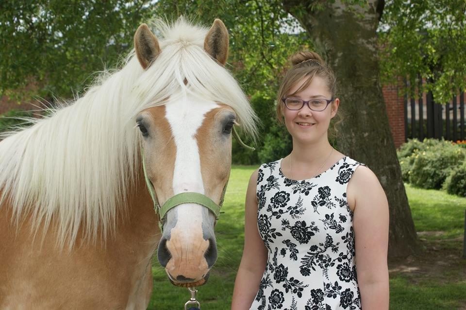 Haflinger Argon billede 1