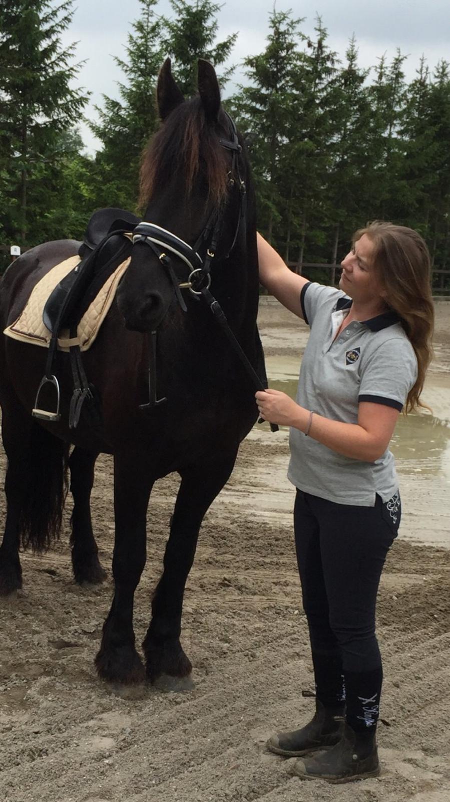 Frieser Barik billede 1