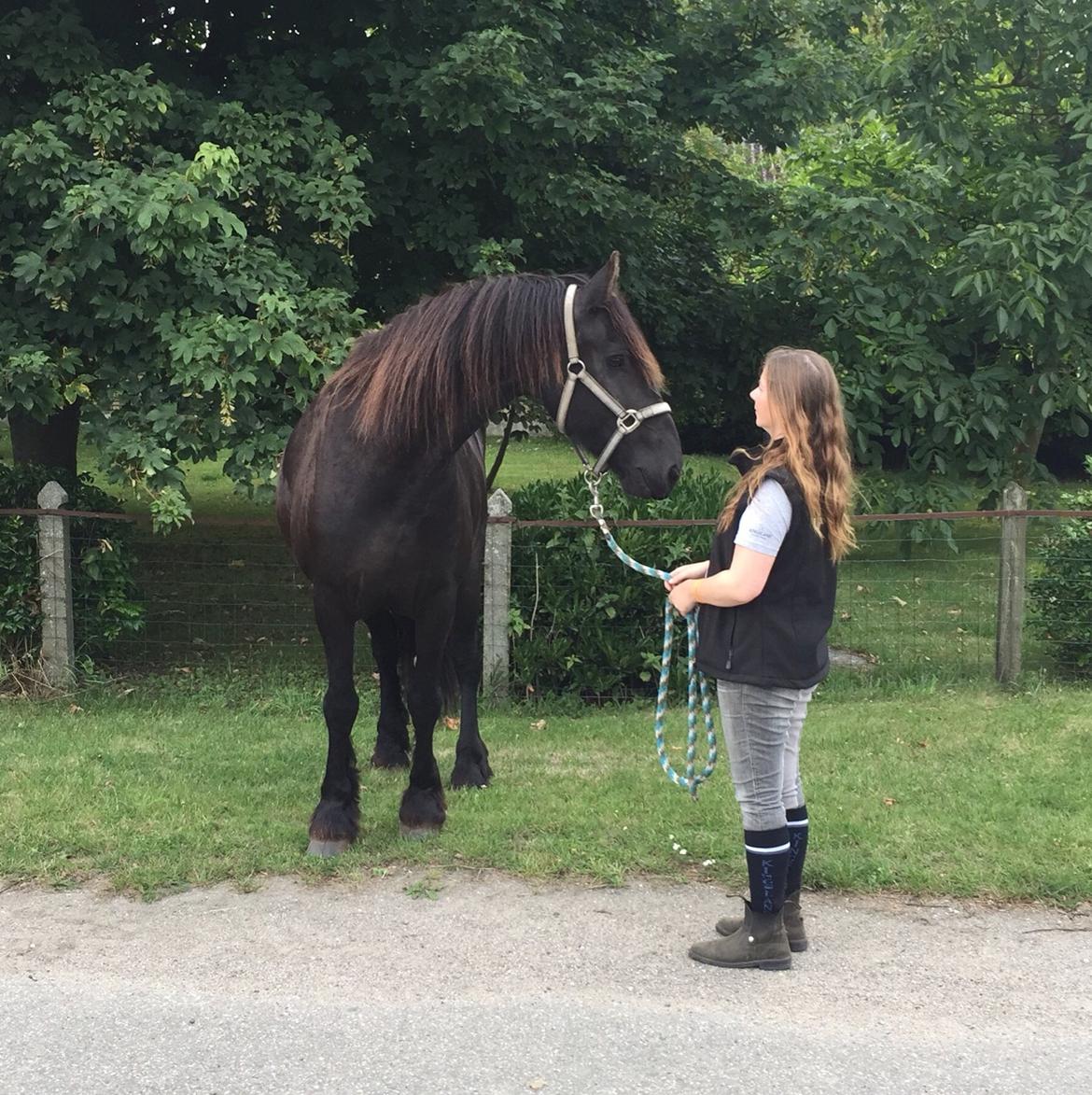 Frieser Barik billede 3