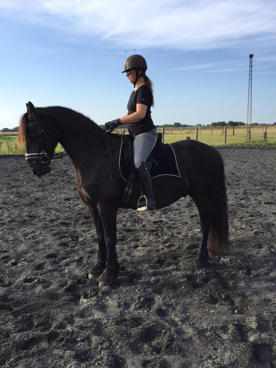 Frieser Barik billede 4