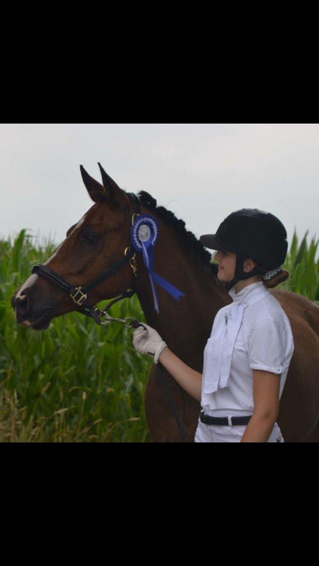 DSP Patrik af hvarre billede 5