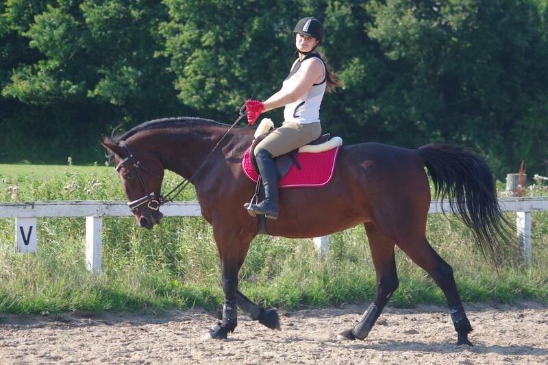 Traver Donna (prima Donna) billede 8