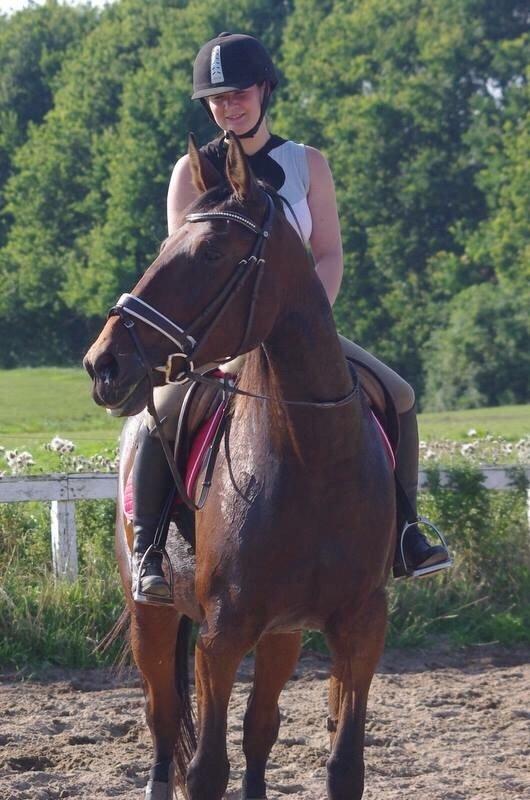 Traver Donna (prima Donna) billede 11